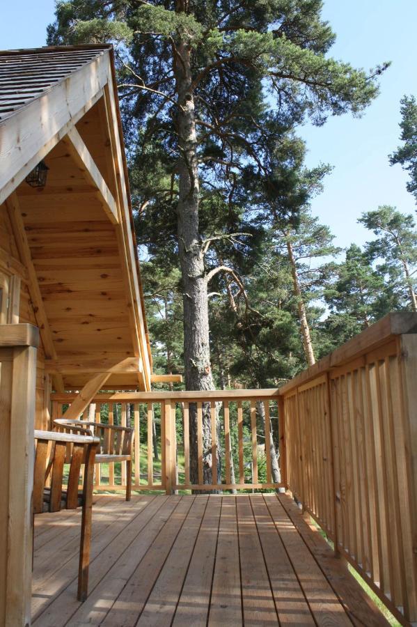 Cabane Lodge Domaine Du Lac Chambon Murol Esterno foto