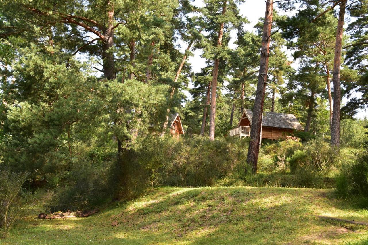 Cabane Lodge Domaine Du Lac Chambon Murol Esterno foto